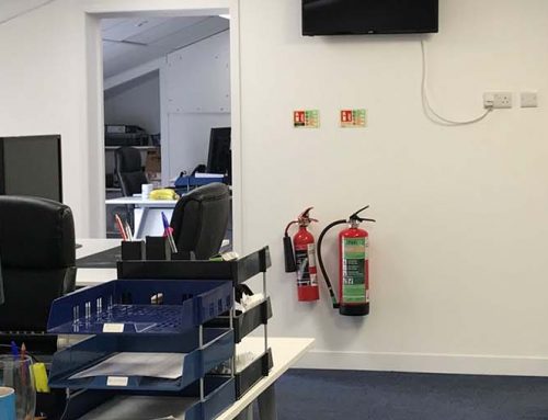 The Move: 5 Years Later