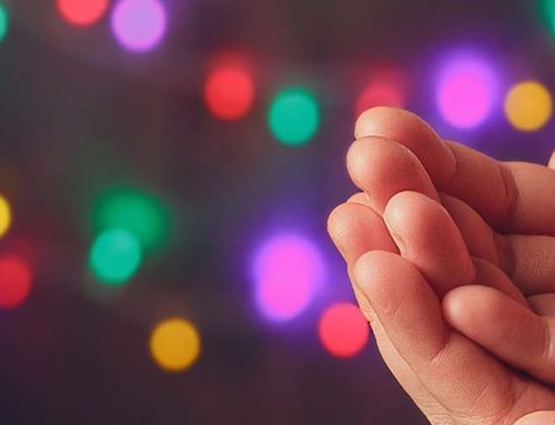 Tekeurope is supporting the Torbay Good Will Fund 2023