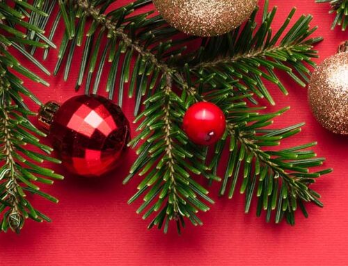 Tekeurope is supporting the Torbay Goodwill Fund 2024